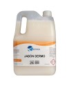 ZENOX Gel de Manos Dermo E255 5 LT